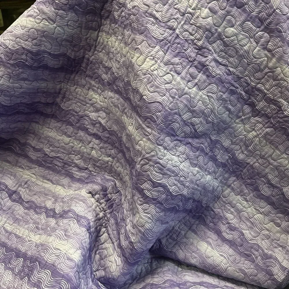 Vtg 2001 Handmade Patchwork Purple Quilt Quilted celebrating Names Poudre 68x45”